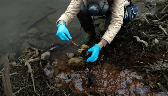 Key Components of a Phase 1 Contaminated Land Report