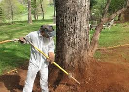 Uncovering Hidden Potential with Airspade Solutions