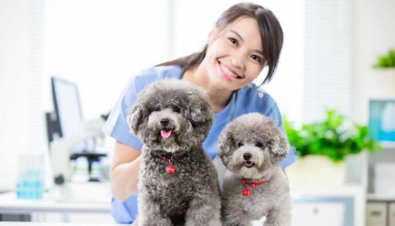 TruCut Biopsies: Enhancing Diagnostic Accuracy in Veterinary Medicine