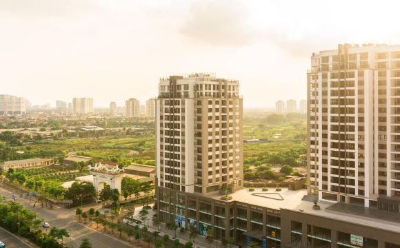 Strategic Development: How Environmental Surveys Support Resilient and Sustainable Communities